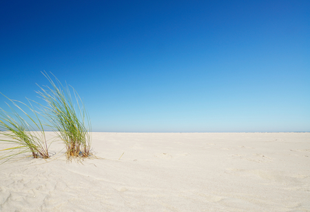 Beautiful quiet beach on the Baltic Sea の写真素材