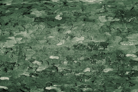 Tree bark as background の写真素材