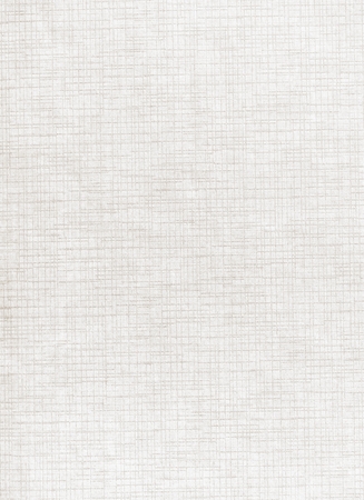 Texture of the paper as a background  の写真素材