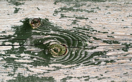 Old green wooden board の写真素材
