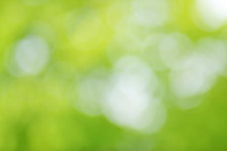 Green abstract background の写真素材