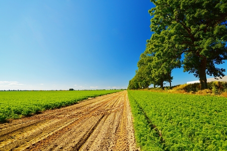 Country landscape with beautiful sky の写真素材