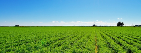 Country landscape with beautiful sky の写真素材