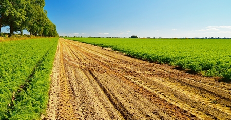 Country landscape with beautiful sky の写真素材