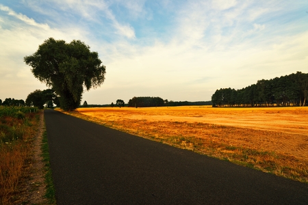 Country road on sunset の写真素材