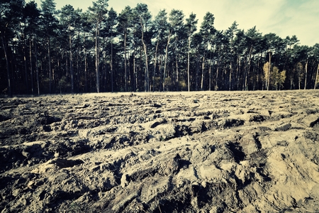 Rural landscape in dramatic lighting.の写真素材