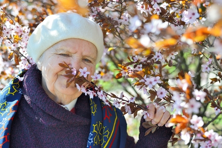 Senior happy woman smiling in garden.の写真素材