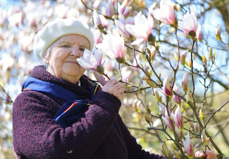 Senior happy woman smiling in garden full of magnolia flowers.の写真素材