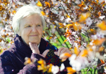 Senior happy woman smiling in garden.の写真素材