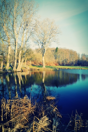 Vintage landscape.の写真素材