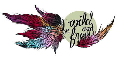 Vector illustration of hand drawn colorful feathers with a blue gray circleのイラスト素材