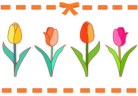 Tulip Flower Illustrationのイラスト素材