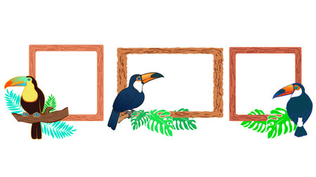 Toucan Illustration Frame Setのイラスト素材