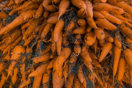 Carrots
