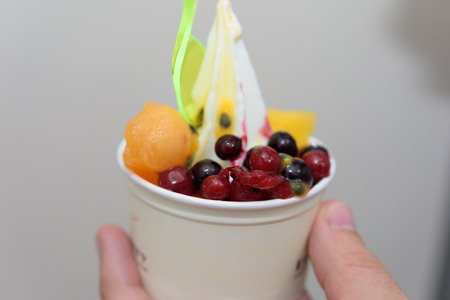 Frozen Yogurt Dessertの写真素材
