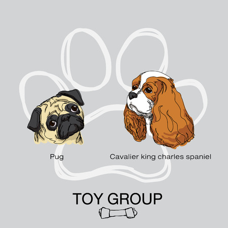 dog toy groupのイラスト素材