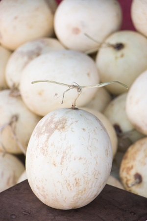 Cantaloupeの写真素材