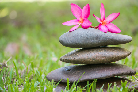 flower and stoneの写真素材