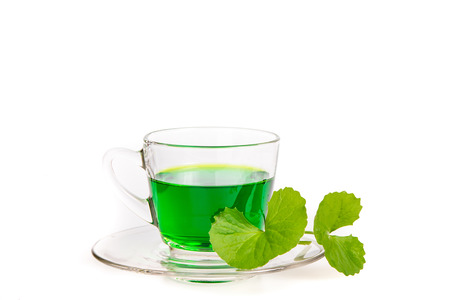 Medicinal thankuni leaves of Indian subcontinent with extractの写真素材