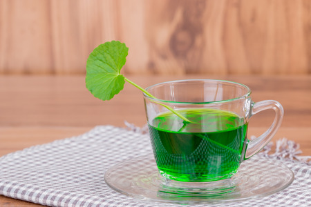 Medicinal thankuni leaves of Indian subcontinent with extractの写真素材