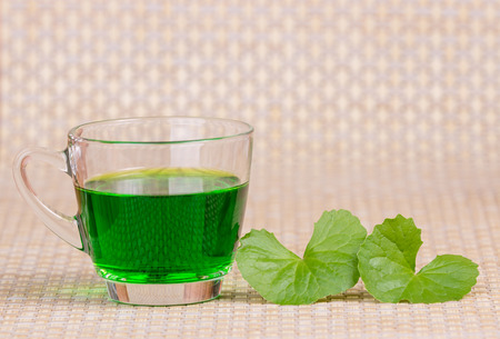 Medicinal thankuni leaves of Indian subcontinent with extractの写真素材