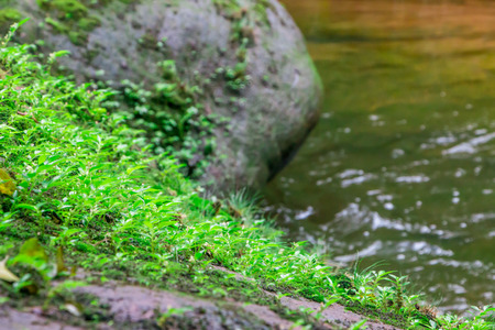 water fall in the forestの写真素材