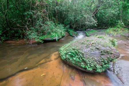 water fall in the forestの写真素材