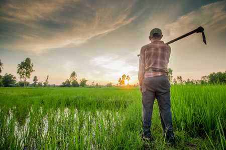 Thai farmer carrying hoeの写真素材