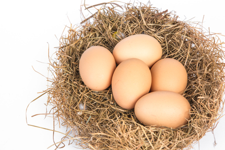 eggs in a nest isolated on a white backgroundの写真素材