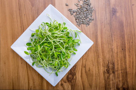 Sunflower sprouts on wood tableの写真素材