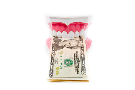 A tooth model with dollar notes isolated on white backgroundの写真素材