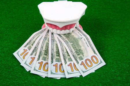 tooth model and dollar money on green background