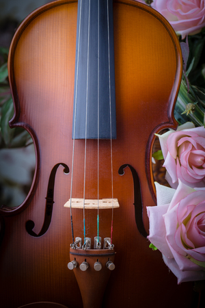 Violin and rose with vintage styleの写真素材