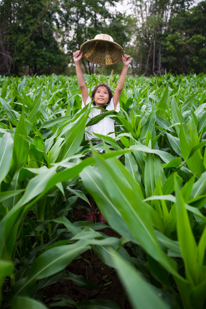 Asian girl holding hat in corn fieldの写真素材