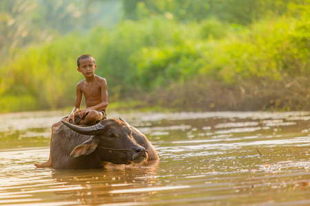 asian boy and his buffaloの写真素材