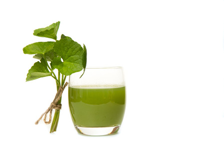 Gotu kola's leafs drink ,gotu kola leafs on white backgroundの写真素材