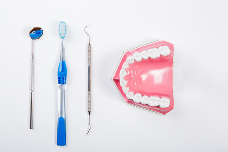 teeth model and dental tool for  dental care on white background,top view