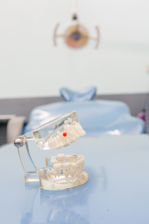 Dental Teeth Model and dental toolの写真素材