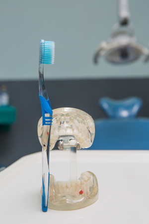 Dental Teeth Model and dental toolの写真素材