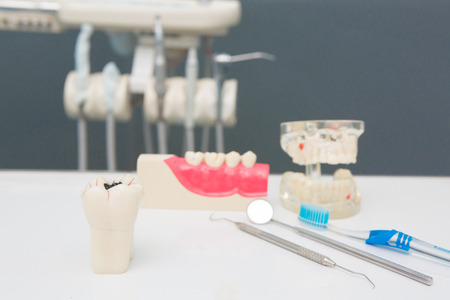 Dental Teeth Model and dental tool