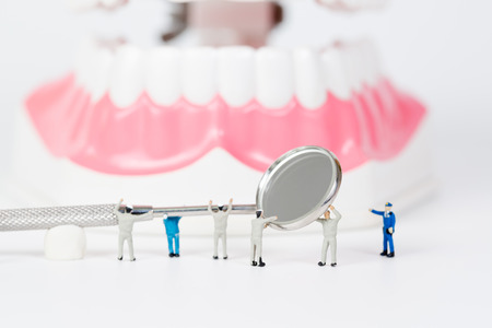 People to clean tooth modelの写真素材