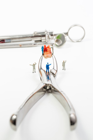People to clean tooth model on white background,miniatureの写真素材