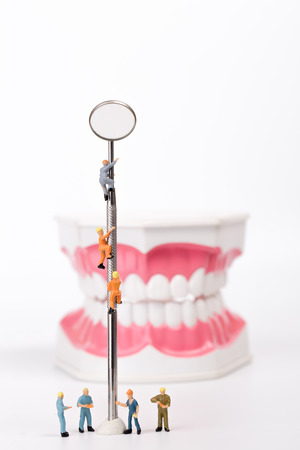 teeth model and dental mirror on white background,miniature conceptの写真素材