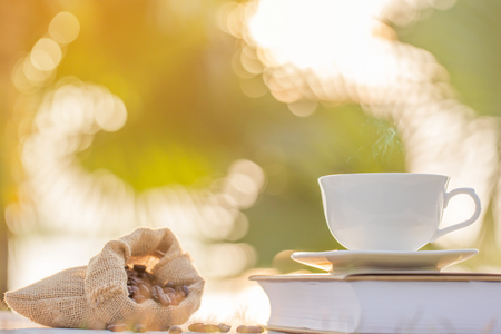 coffee cup on the book and coffee bean in the morningの写真素材