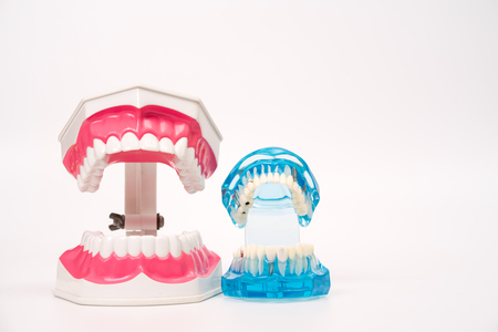 dental model and dental tool on white background