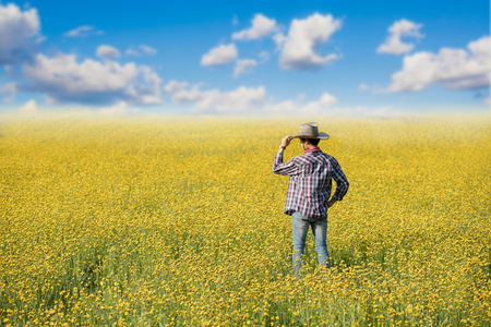 cowboy standing in yellow flower field with cloud and blue skyの写真素材