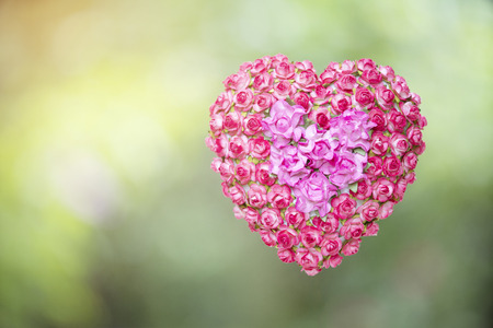 Red flower heart shape with nature backgroundの写真素材