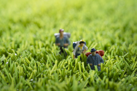 Miniature figure people backpack team, travelers standing on green grass,tourism conceptの写真素材