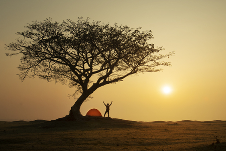 Man in camping site under the tree with sunset backgroundの写真素材