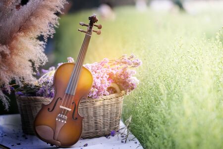 classic violin in flower garden